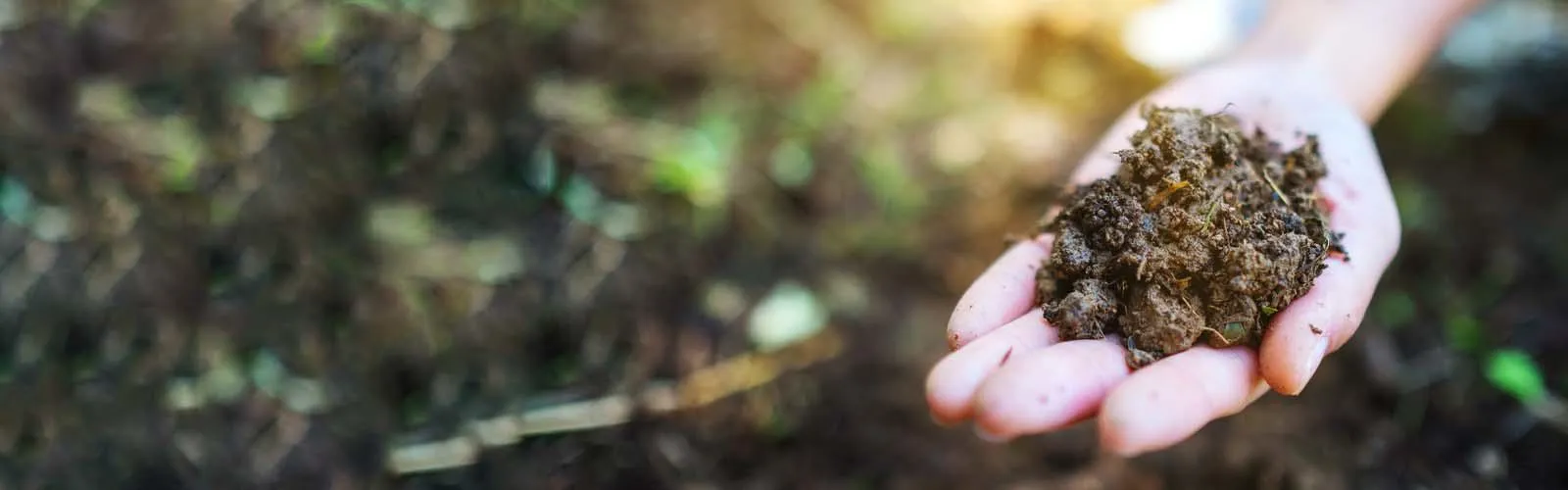Compostable Packaging blog website banner 1600x500
