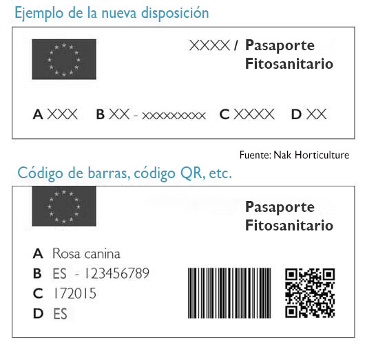 Ejemplo de un nuevo diseño de pasaporte de planta con código QR negro y código de barras