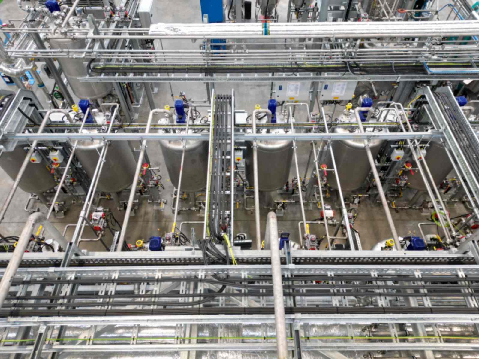 Liverpools inks plant (2)