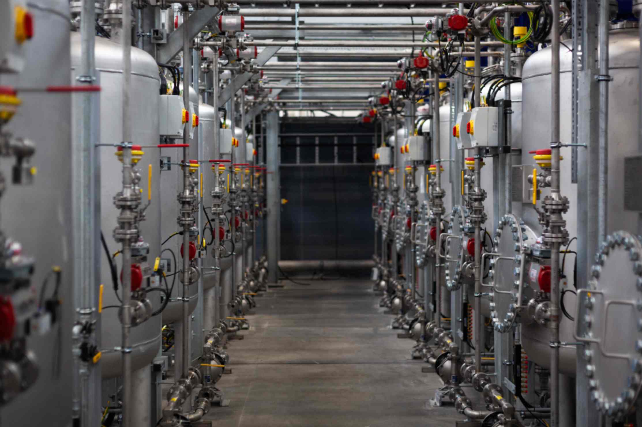 Liverpools inks plant (6)