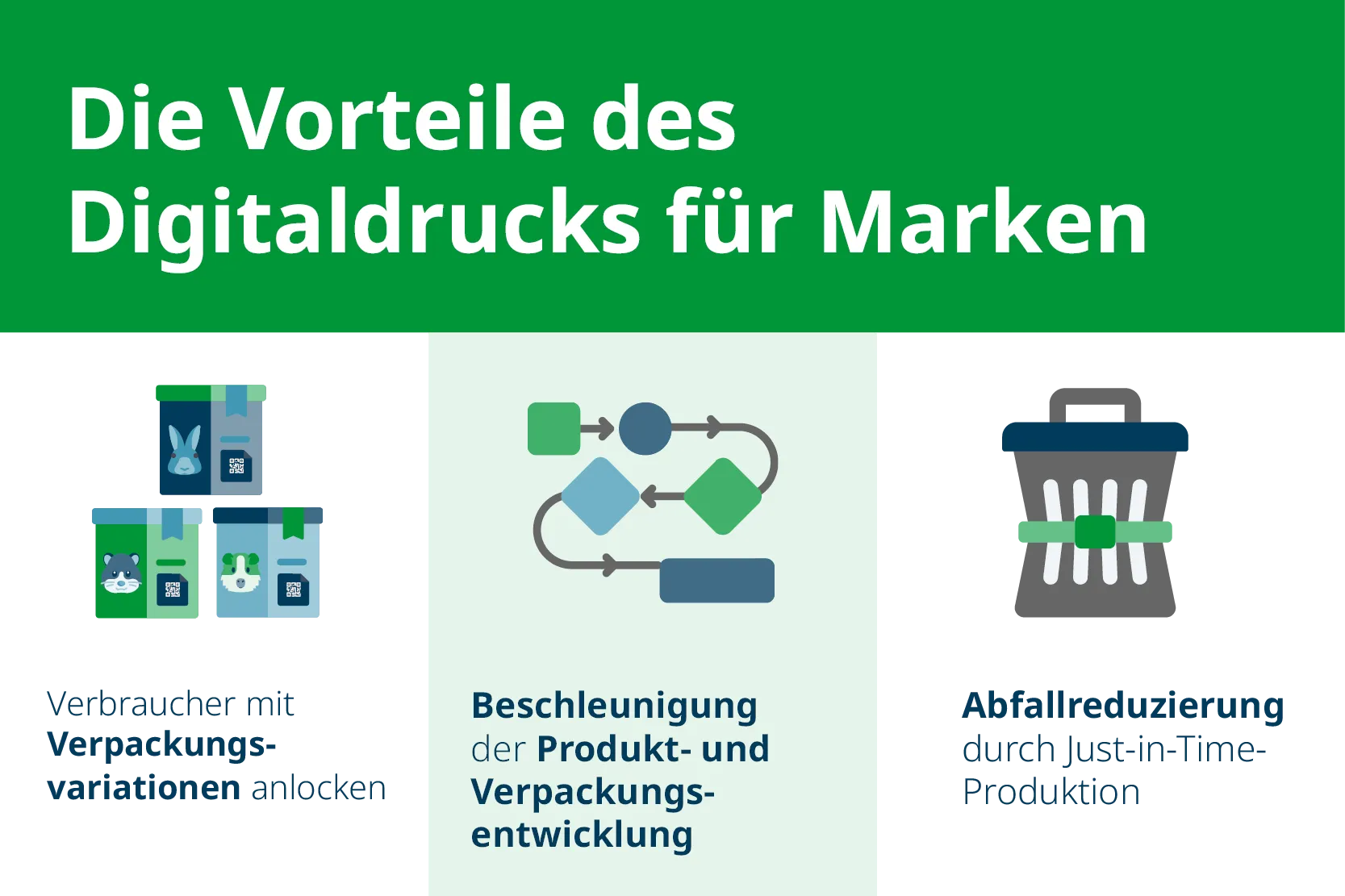 Vorteile von digital gedruckten Direct-to-Consumer-Verpackungen für Marken