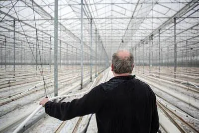 Energieprijzen voor de producerende industrie stijgen waaronder de tuinbouw