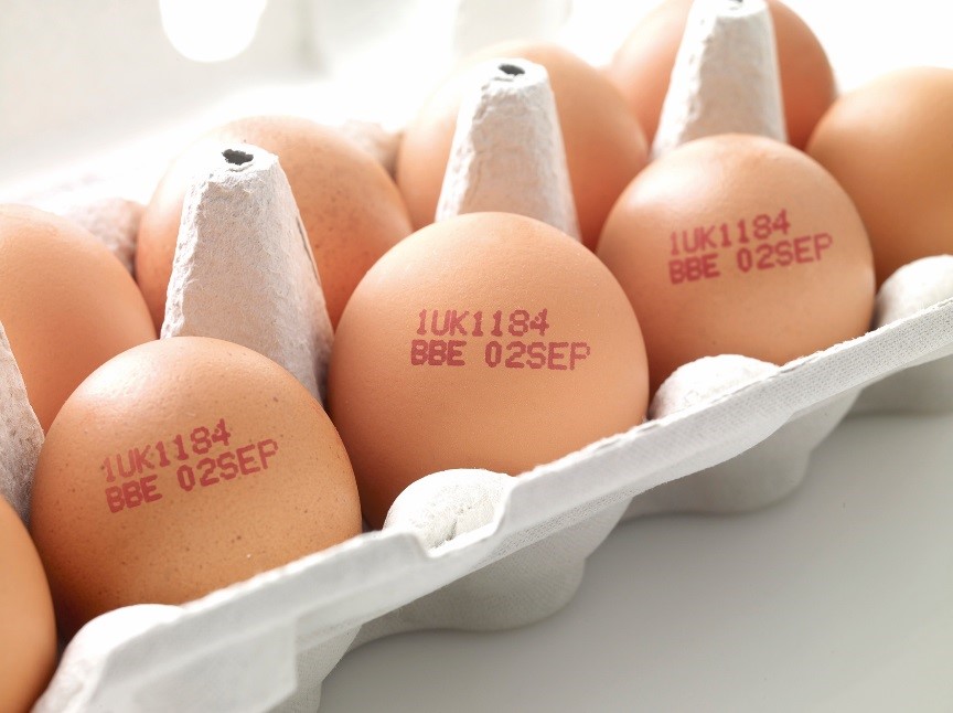 CN-egg2
