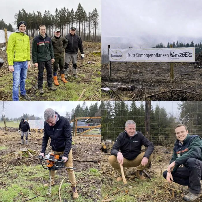 2023-DE-collage-baumpflanzaktion-neu1