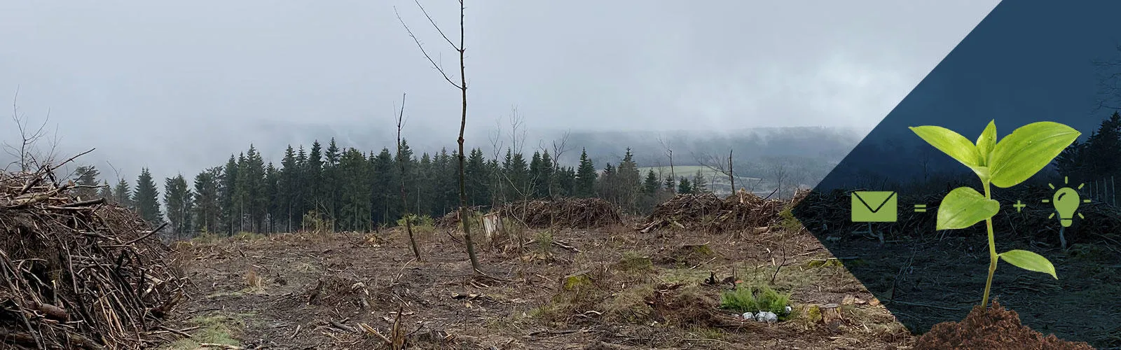 2023-DE-header-baumpflanzaktion_final