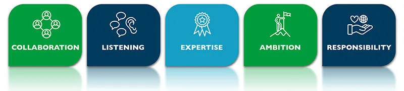 Domino Brand Values - Blog Body 800x400px