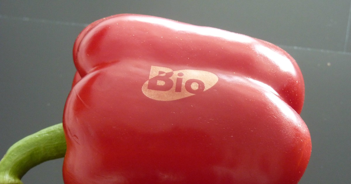 Red pepper showcases laser used for branding logo directly onto it