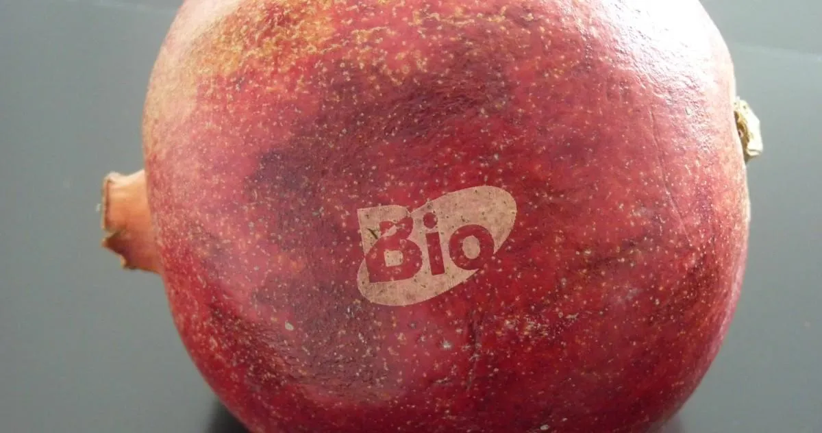 core-issues-fruit-laser-printing-3