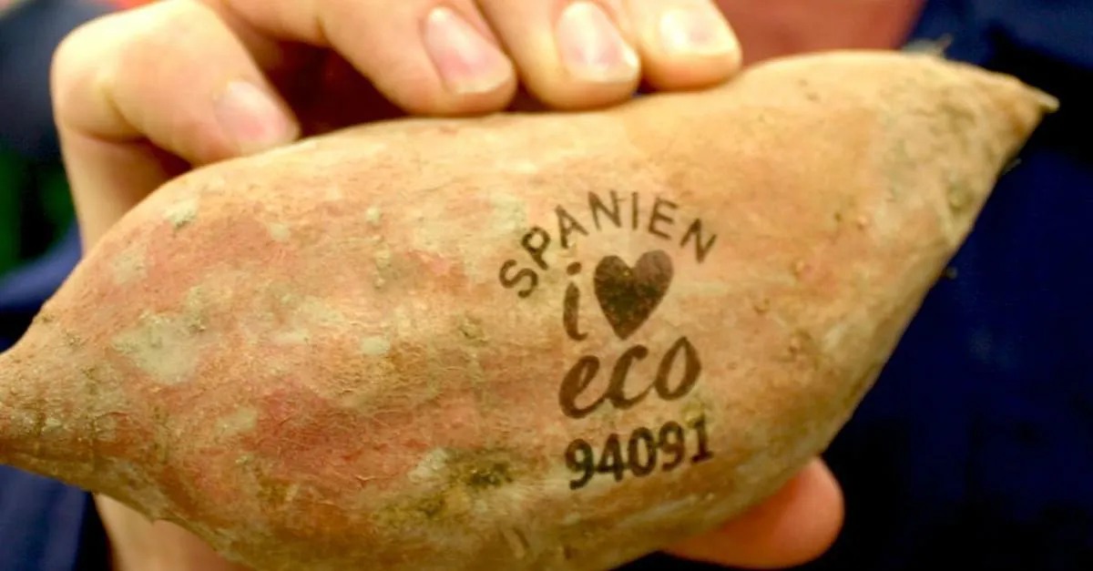 core-issues-fruit-laser-printing-spanien-eco