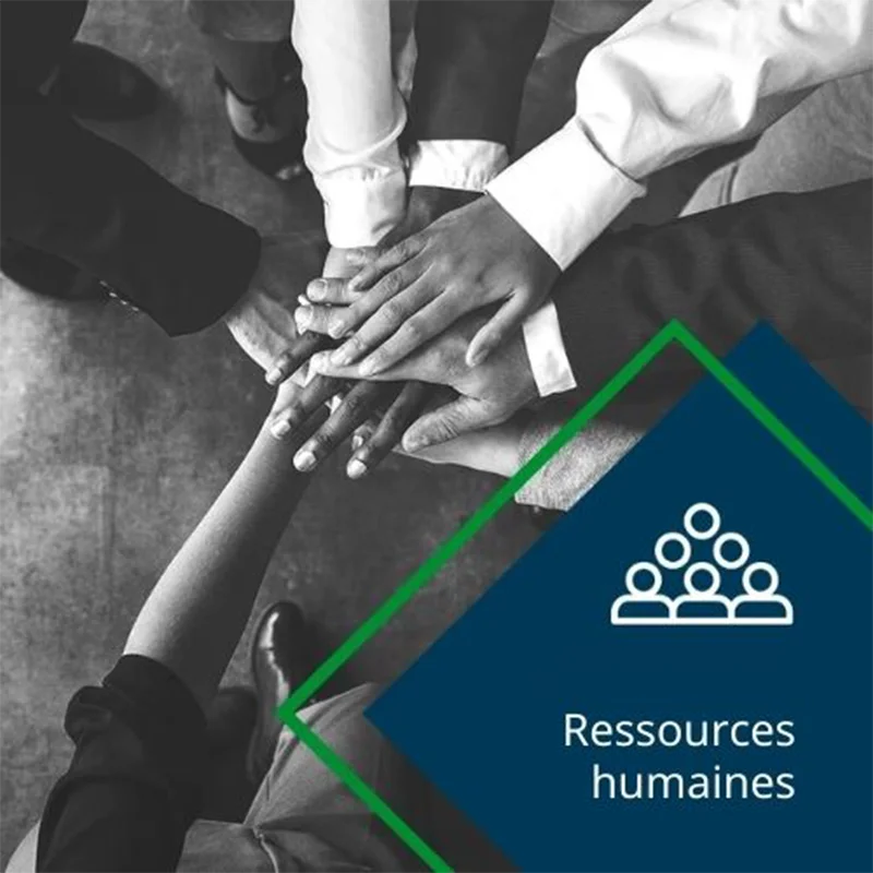 Domino-France-CNT-HR