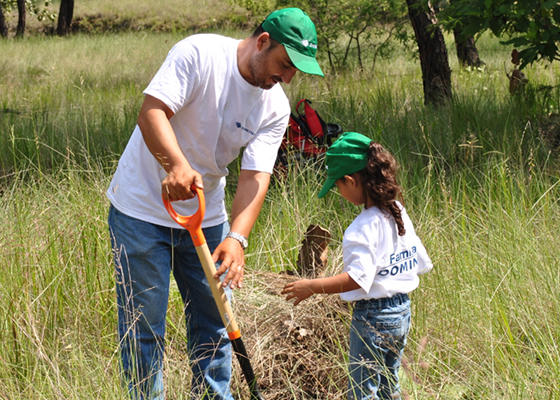 CSR-Tree-Planting-Mexico