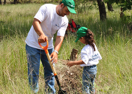 CSR-Tree-Planting-Mexico