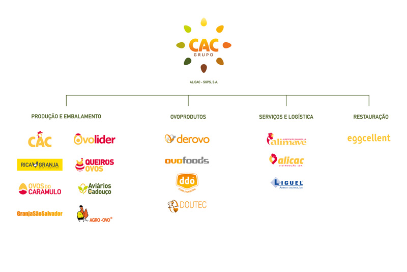 CAC-Gruppe Organisationsstruktur