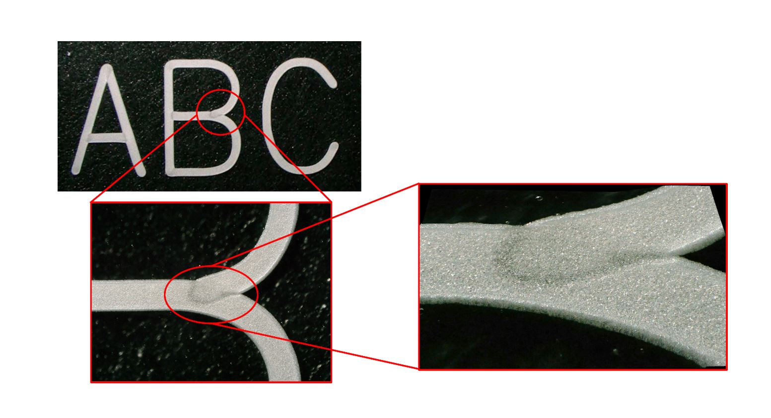 3D microscope image close up