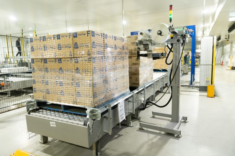 insignia_DA Hall_Millmerran_156