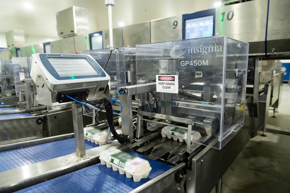 insignia_DA Hall_Millmerran_170