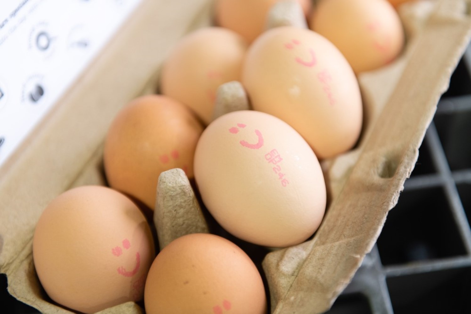 insignia_DA Hall_Millmerran_173