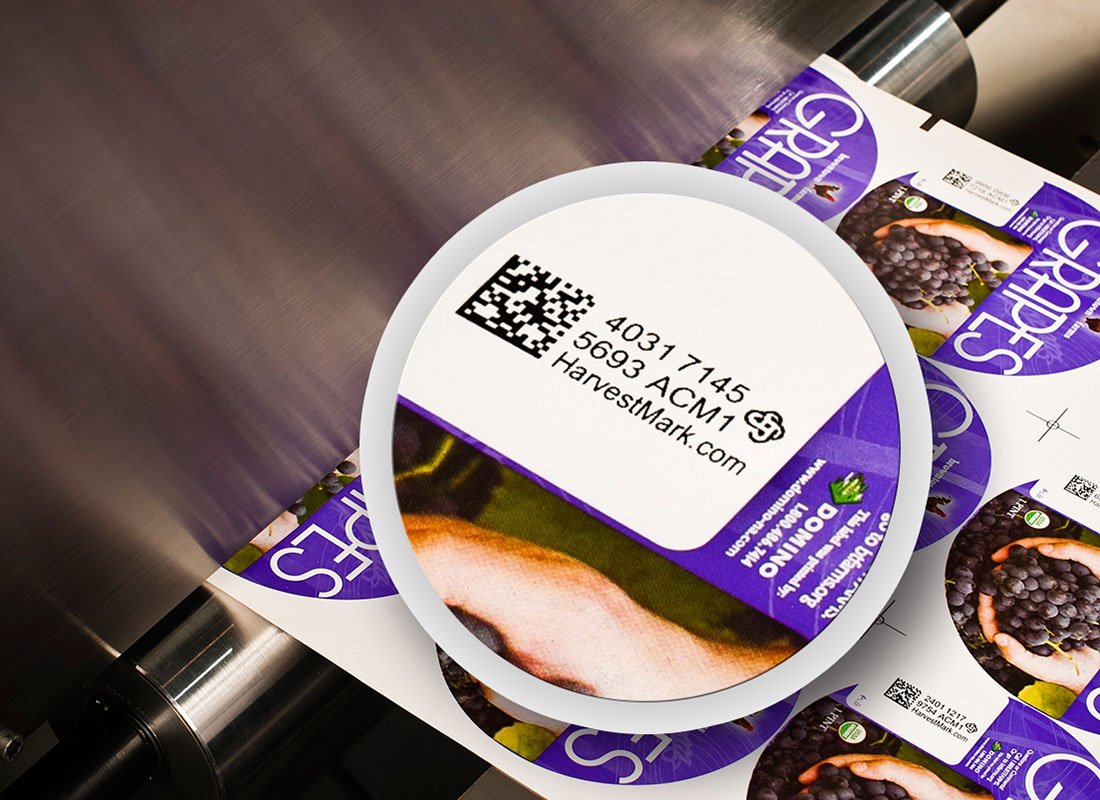 Variable data printing - labels
