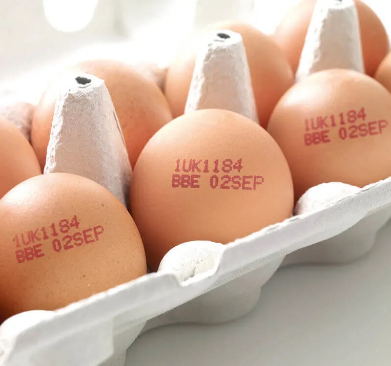 Eggs-red-code-CIJ-egg-grader-NML5