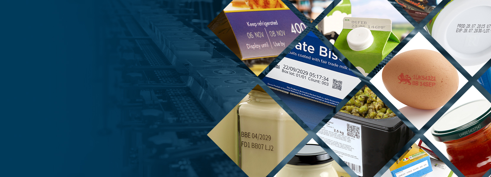 domino-food-sector-collage