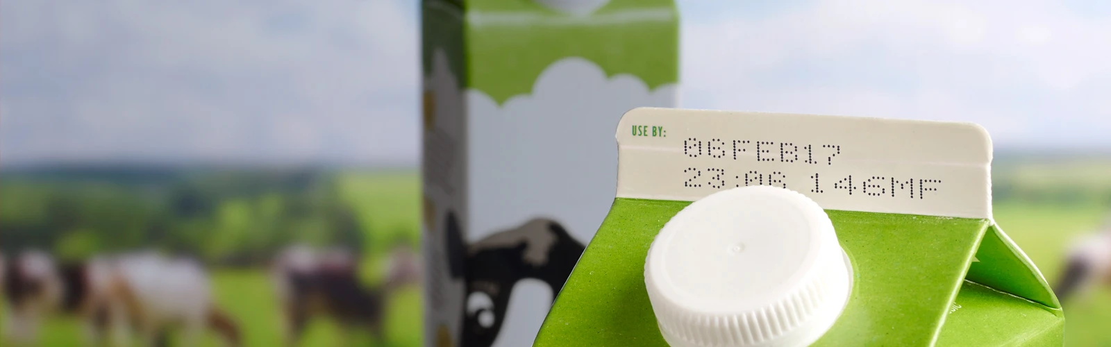 Expiry date and batch coded onto a carton of milk