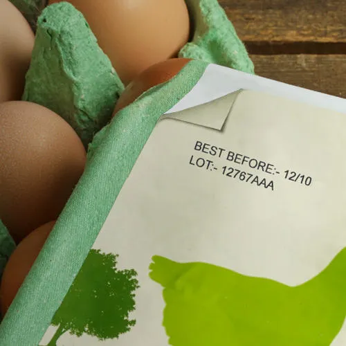 Traversing-Landing-Header