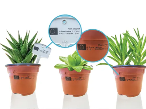 Voorbeeld van een plantenpaspoort op verschillende potten