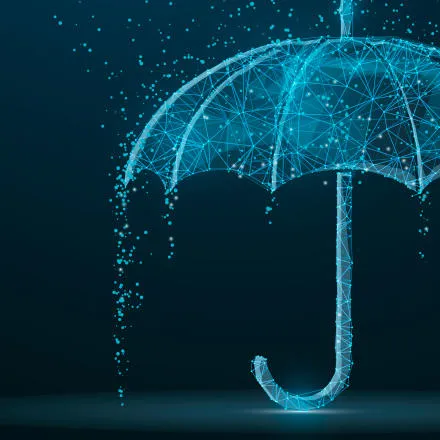 2020-DE-AMA SafeGuard