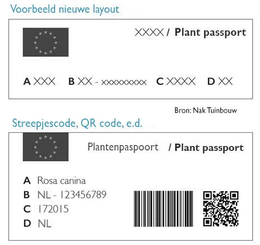 Voorbeeld van de nieuwe lay-out van het plantenpaspoort
