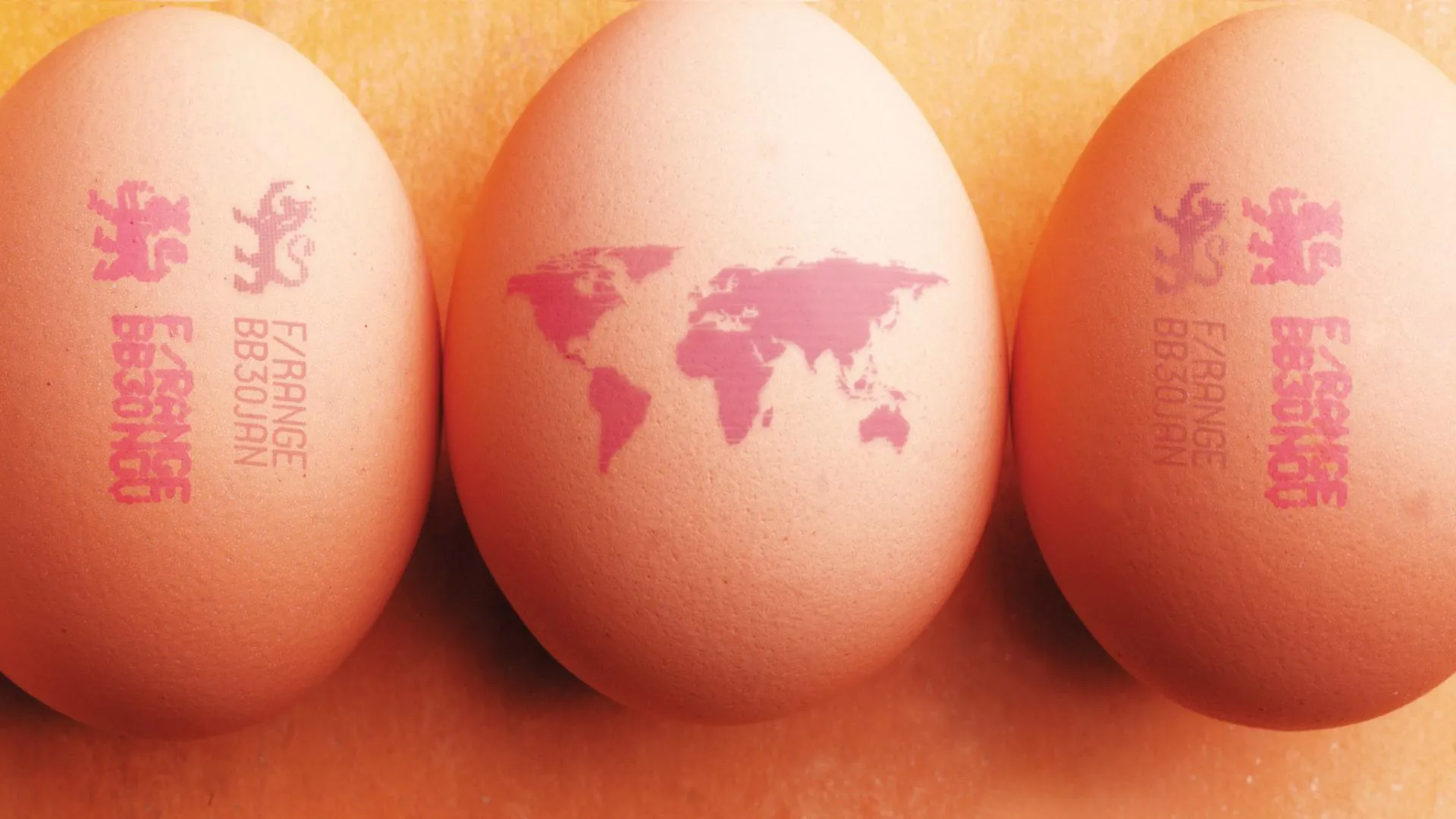 SE-egg-header_1920x1080px-min