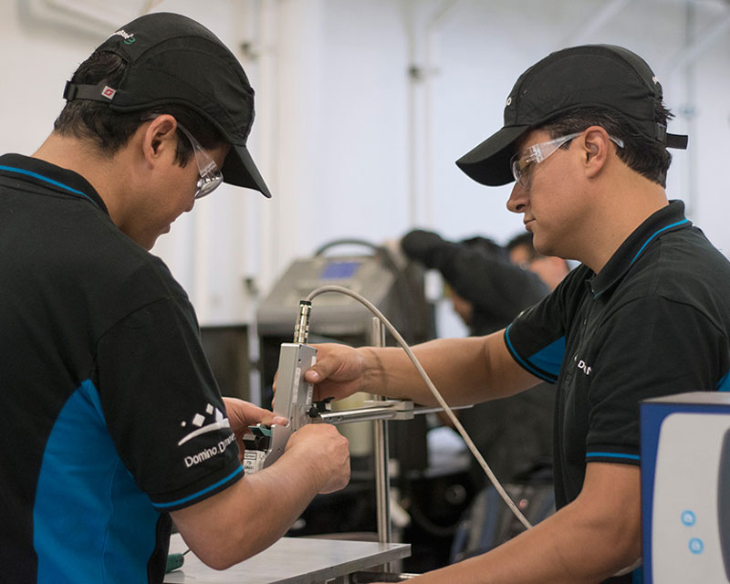 Domino service team