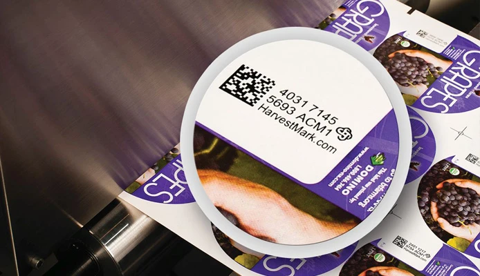 Domino's UV97BK Ink