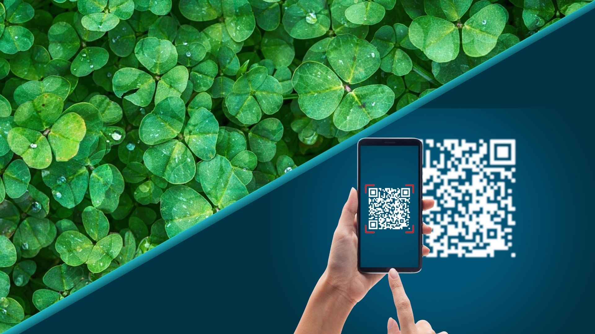 Traceer kajdflkjasdfj