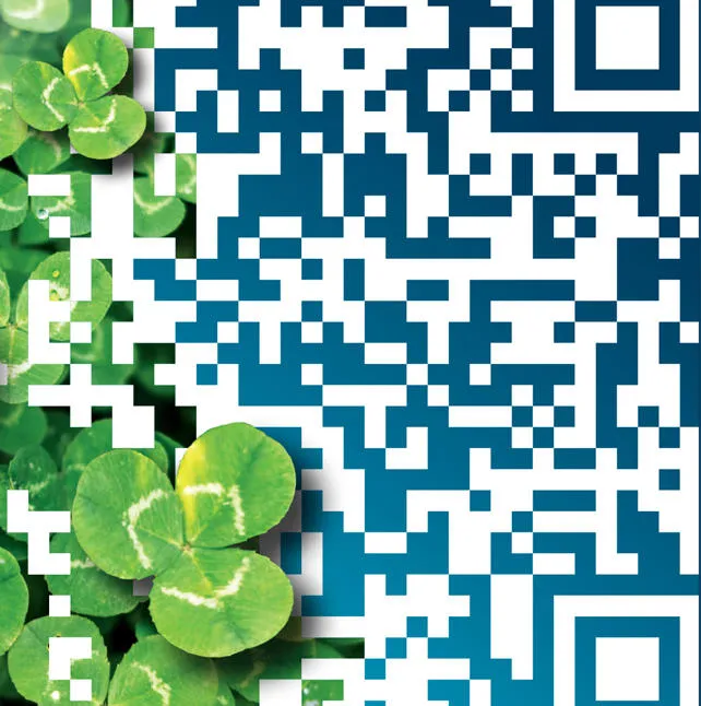 Bentuklaarvoor2Dcodes_thumbnail