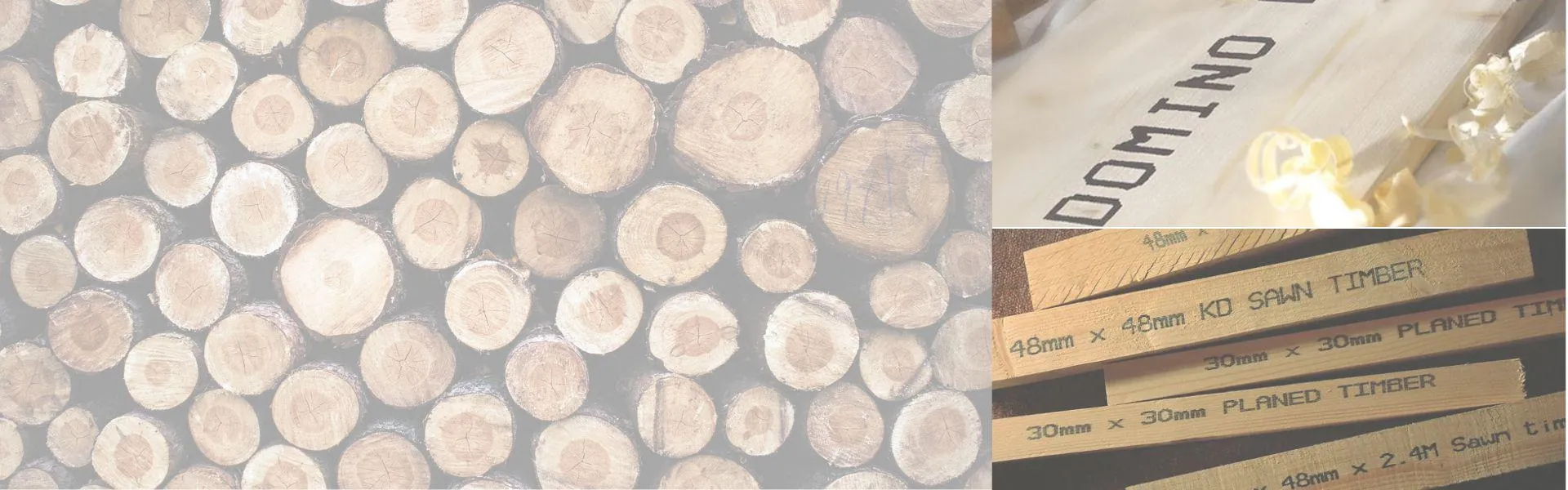 India woods 2026 domino participation