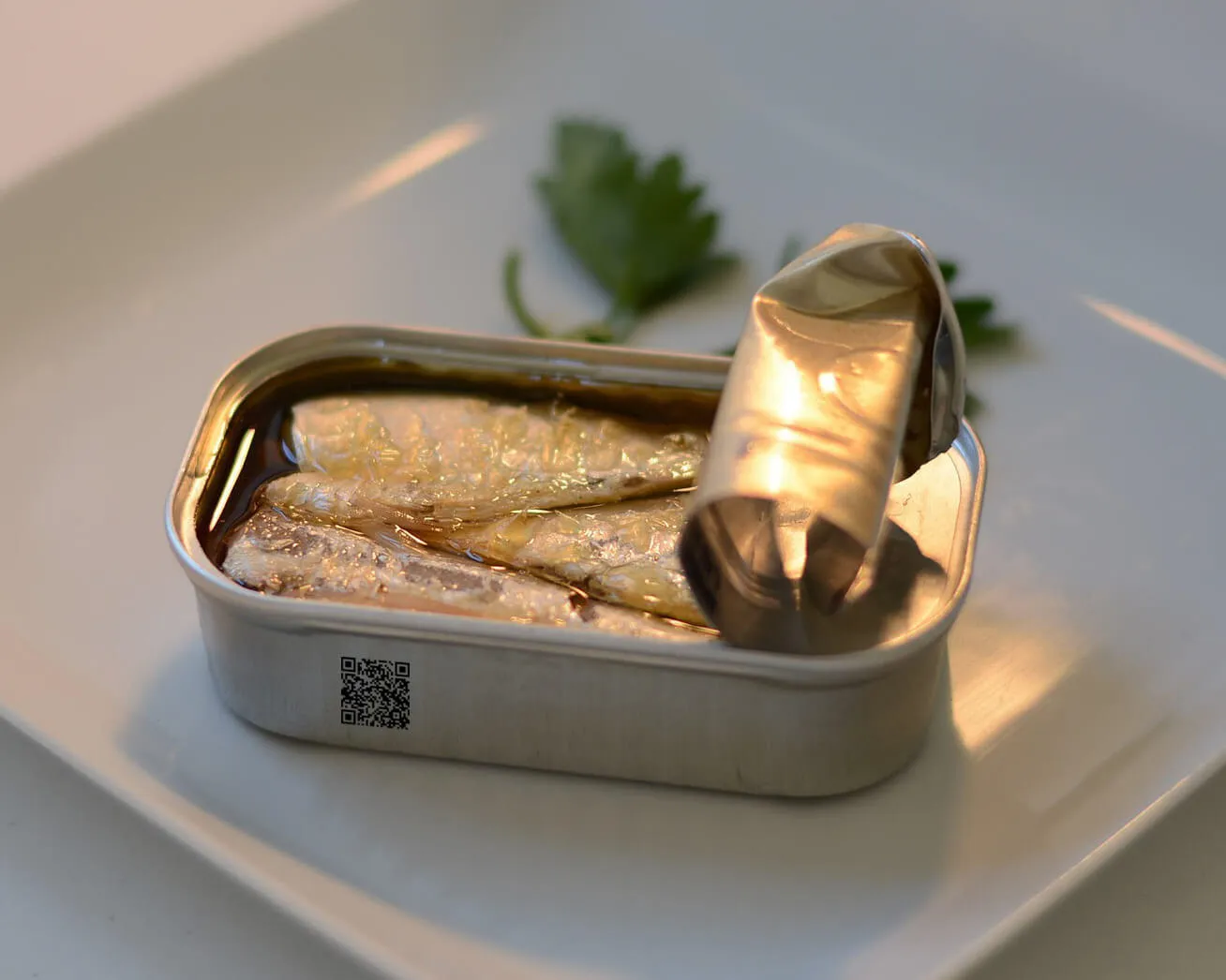 Conxemar-tinned_fish