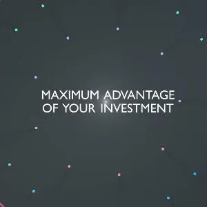 Domino Digital Solutions Programme