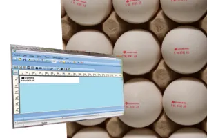 Domino Designer-TESCoS