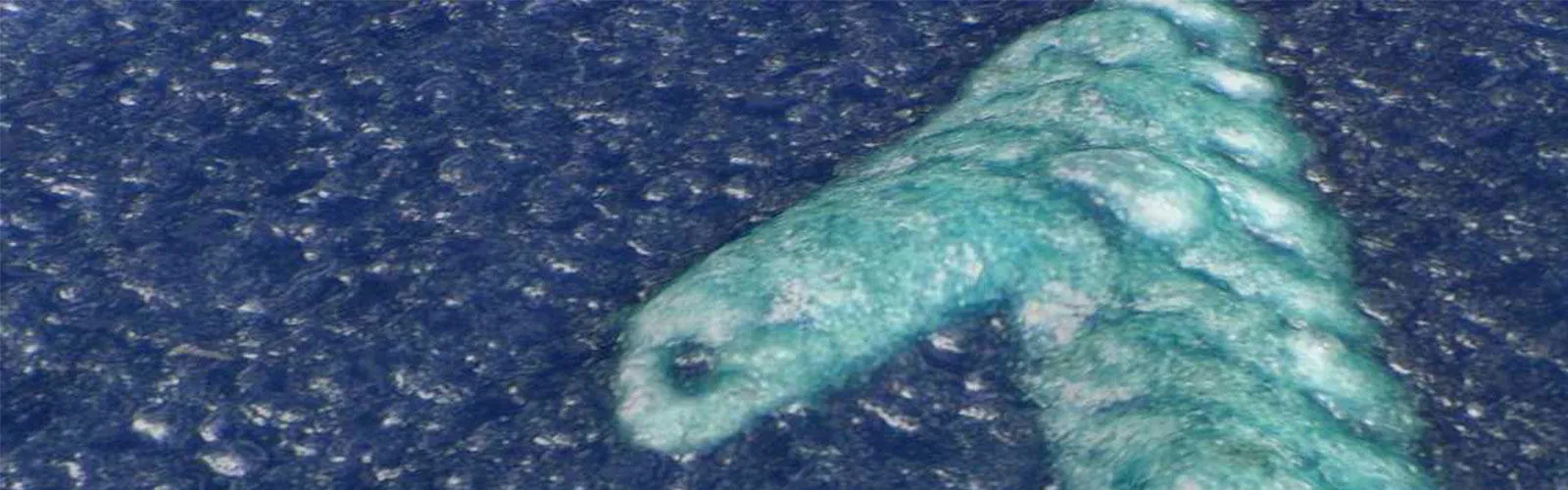 Substrate sustainable blog - Banner